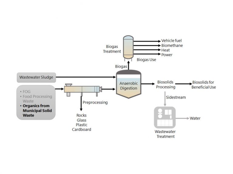 Co-Digestion of Food Waste and Sewage Sludge | Carollo