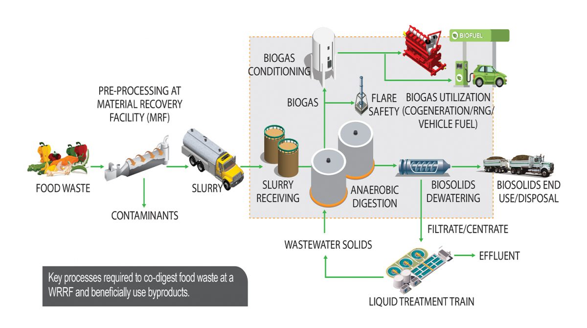 Schematic of food waste co-digestion