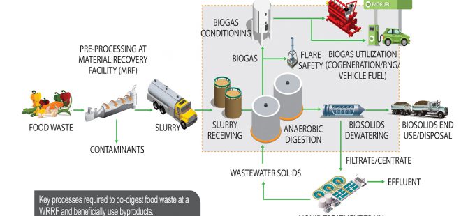 Image for Food Waste Co-Digestion Capacity Study