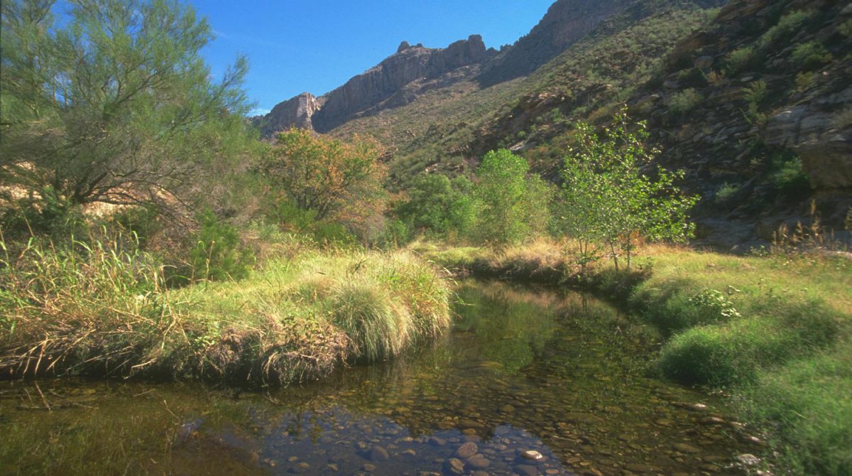 Arizona desert with stream