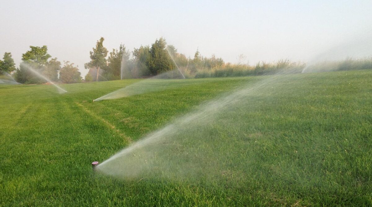 sprinklers irrigating farm