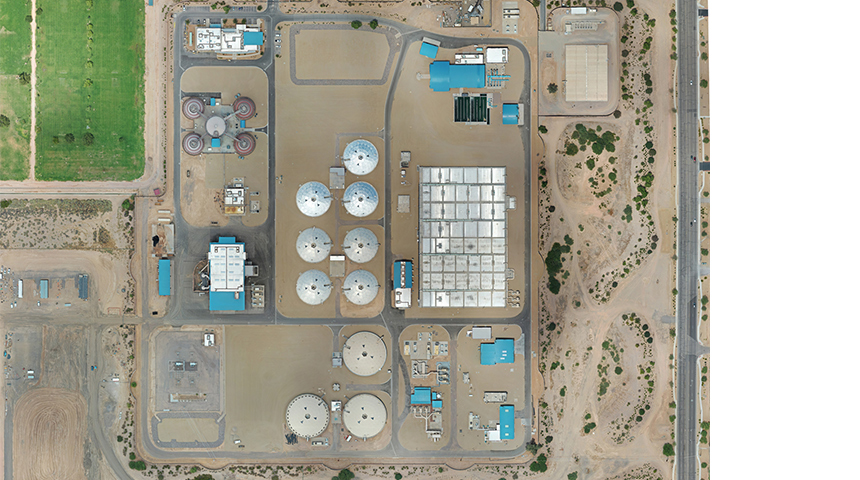 aerial of plant