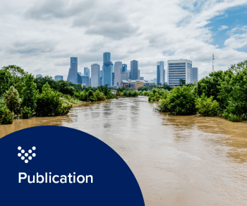 Teaser image for Emergency management in the water sector: engineering resilience