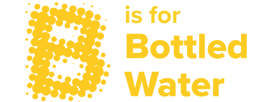 B V2