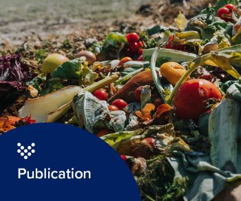 photo of composting food to represent co-digestion feedstock for a Carollo article
