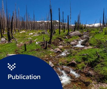 Photo of a mountain with wildfire damage, representing Carollo's study on water quality after wildfires.